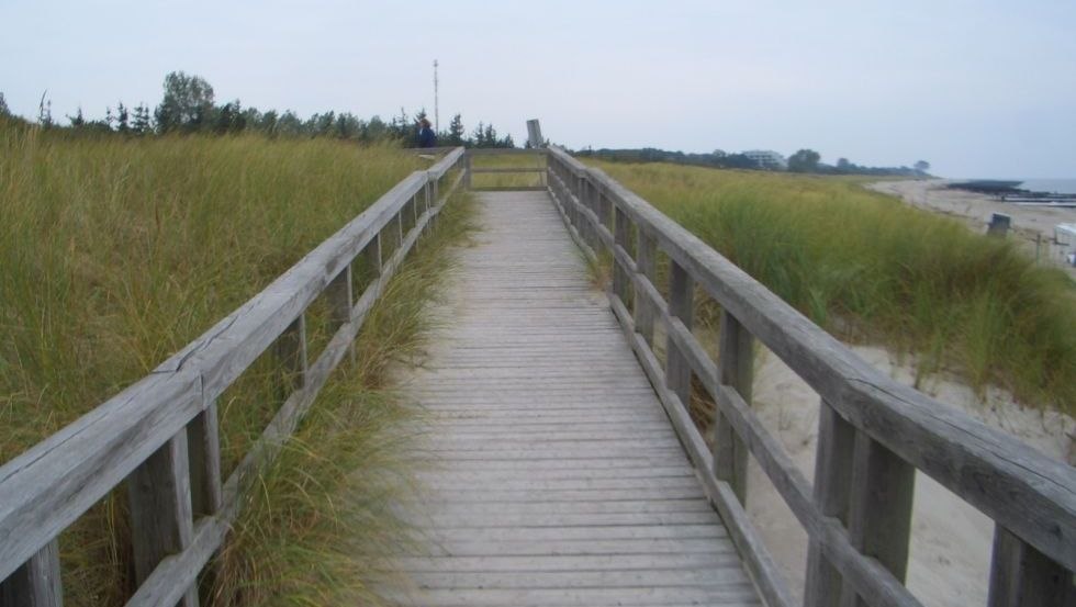 Strandzugang 4 über einen Holzsteg in Ahrenshoop // © TV FDZ Strandzugang 4 über einen Holzsteg in Ahrenshoop // © TV FDZ