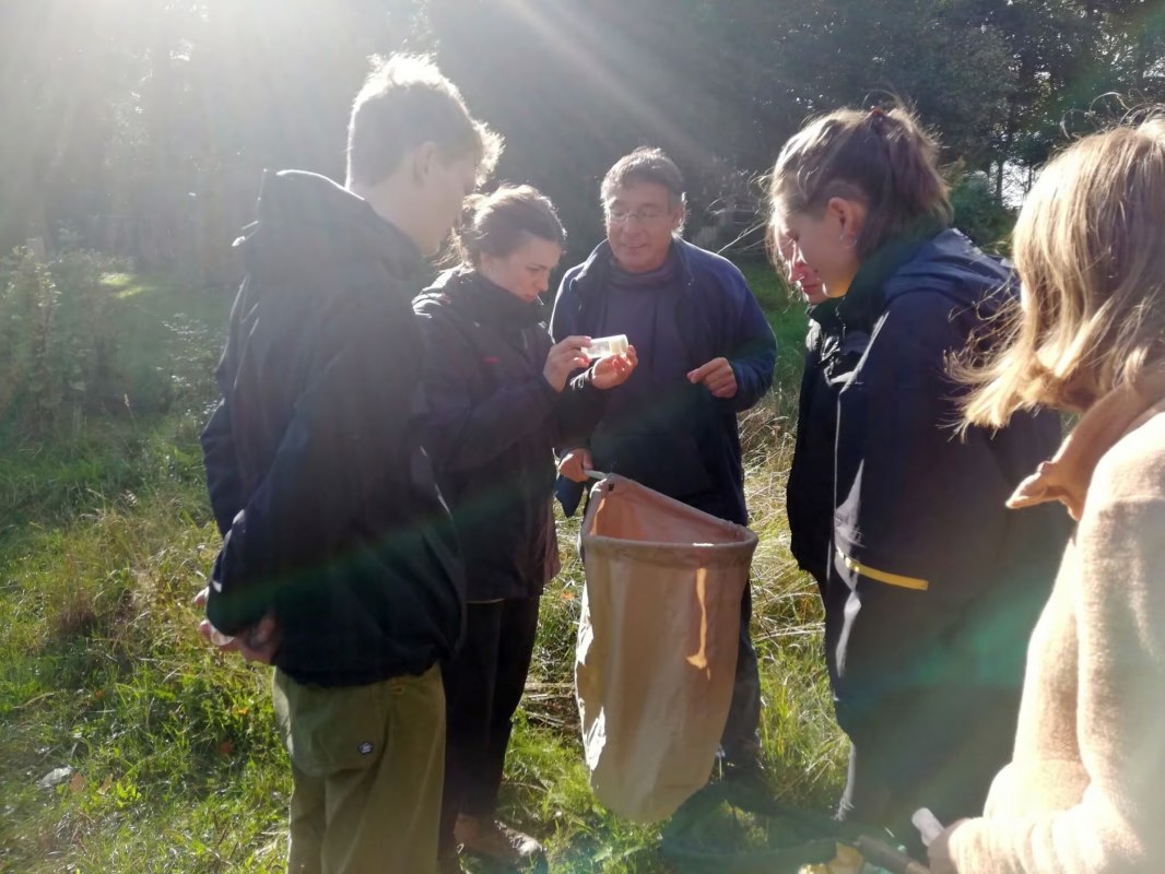 Spinnen, © Gemeinde Ostseebad Glowe Spinnen, © Gemeinde Ostseebad Glowe