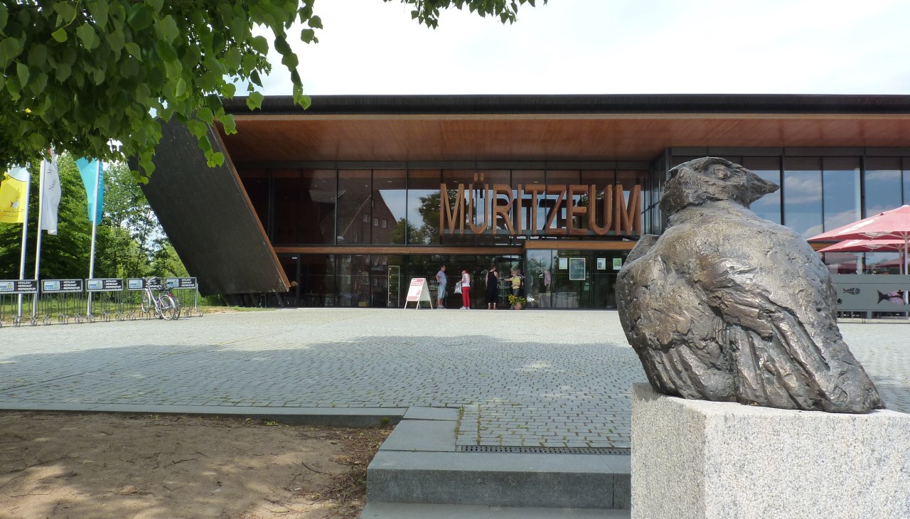 Die Eule von Walther Preik, &copy; Waren (M&uuml;ritz)-Information