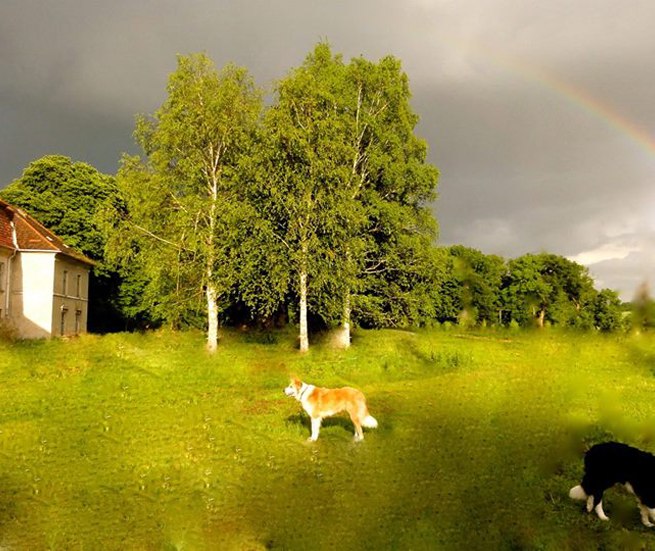 &copy; Schloss Neuhoff