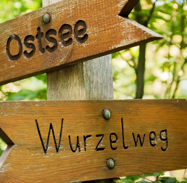 Natur pur // &copy; Andr&eacute; Pristaff / Tourismus- und Kur GmbH Graal-M&uuml;ritz