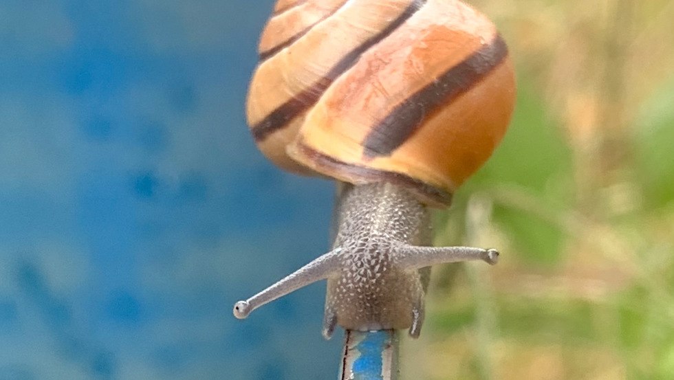 Foto, &copy; Janine Turan