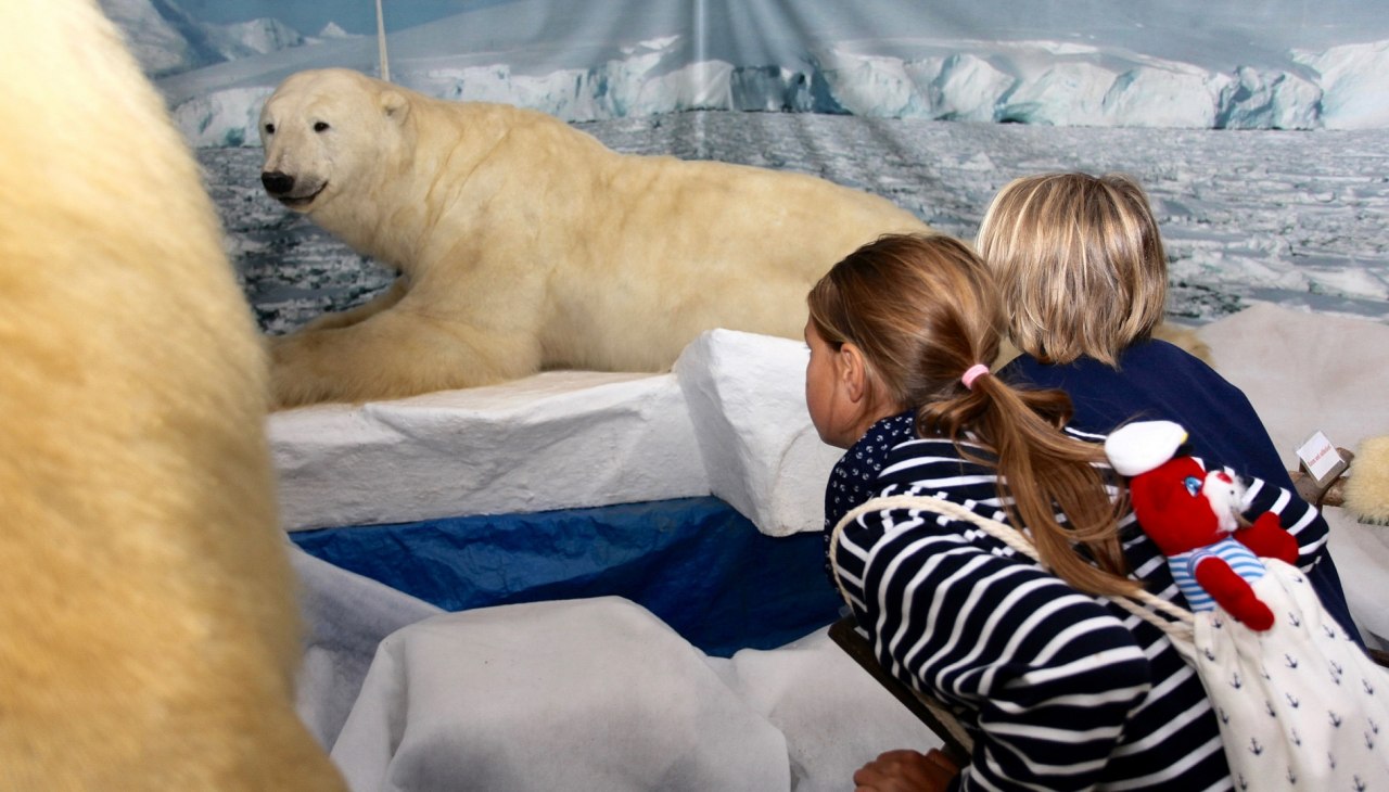 Eisbären im Wildlife Usedom, © H. Böhm / trassenheide.de
