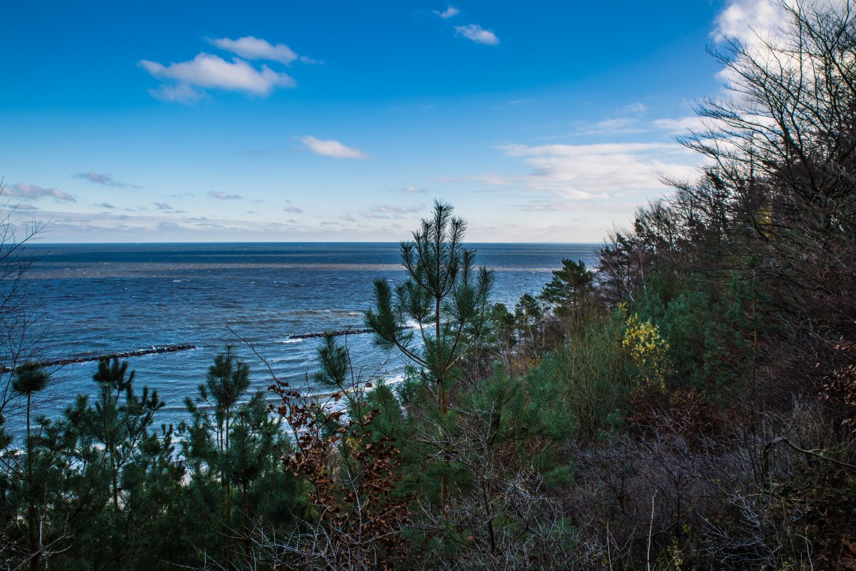 Wanderung mit dem Revierf&ouml;rster a. D G&uuml;nther Thoms, &copy; insel-fotograf.eu, Andreas Dumke