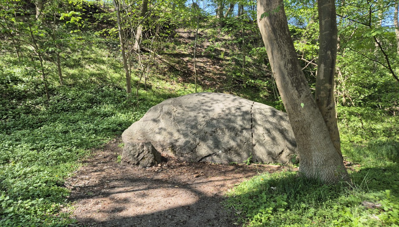 Findling in Klink, &copy; Gina Schulenberg