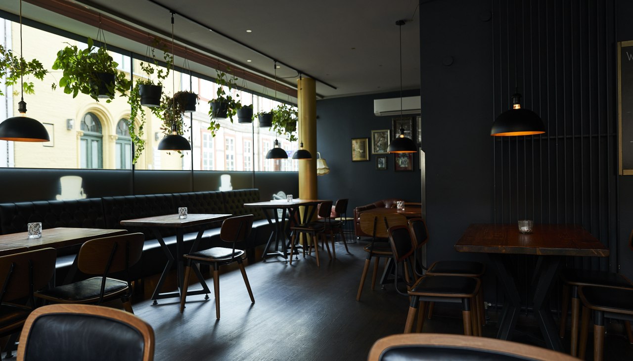 SenorZorro, © Senor Zorro_Tommy Hetzel SenorZorro, © Senor Zorro_Tommy Hetzel