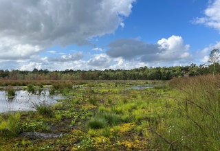 Grambower Moor // &copy; stun