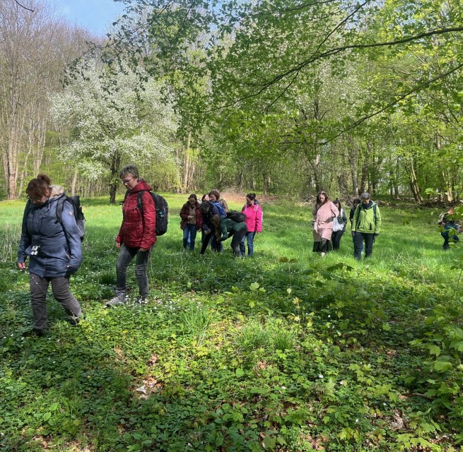 Kr&auml;uterwanderung // &copy; Petra Dittmar