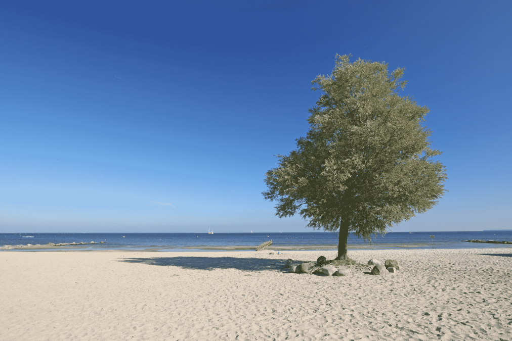 Strand, © TMV/Gohlke Strand, © TMV/Gohlke