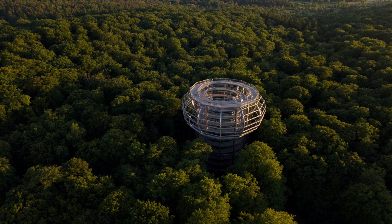 De Prora - Geheimen van het bos, © Binzer Bucht Tourismus De Prora - Geheimen van het bos, © Binzer Bucht Tourismus