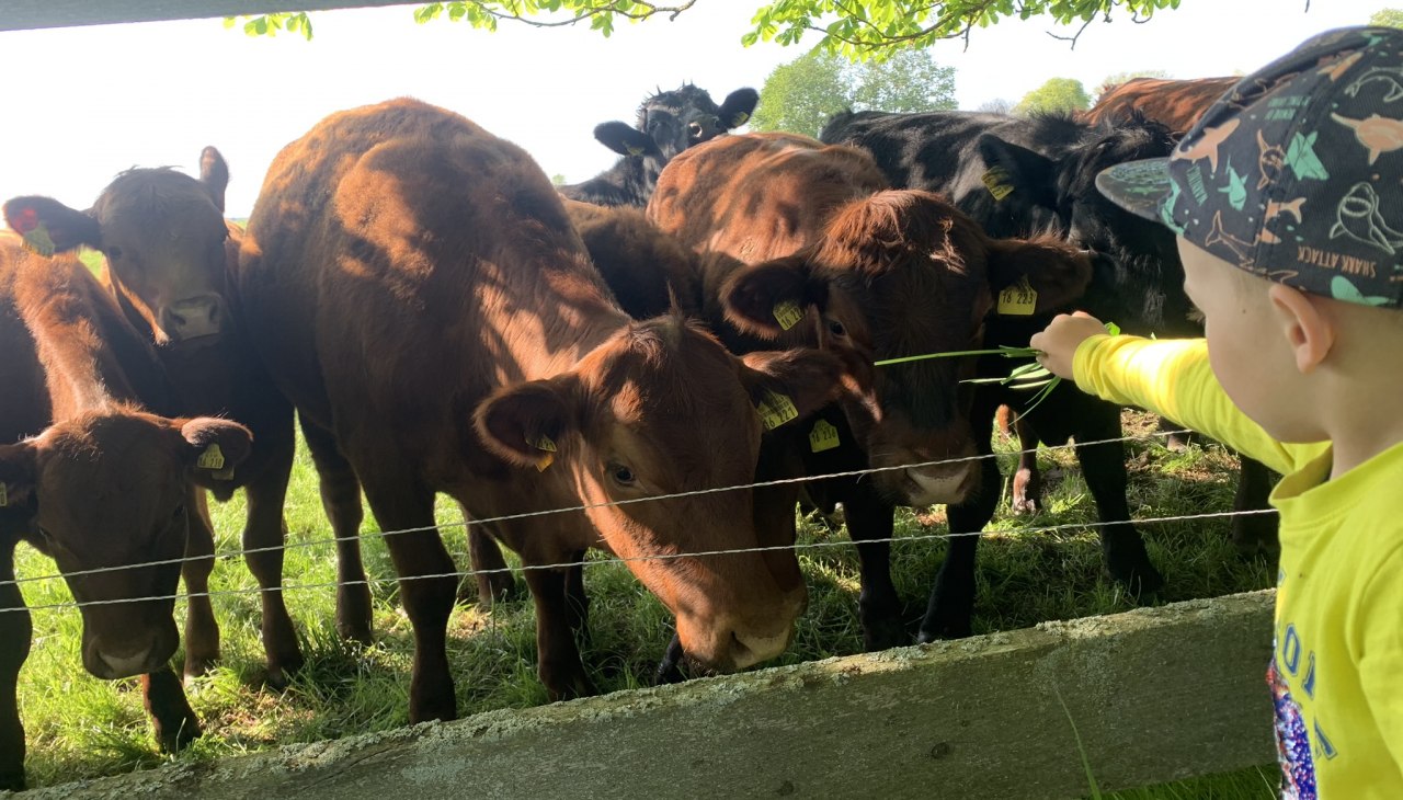 Hofladen Marihn, &copy; Gut Marihn GmbH & Co. KG