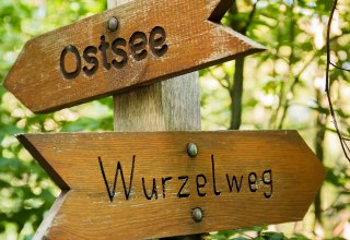 Natur pur // &copy; Andr&eacute; Pristaff / Tourismus- und Kur GmbH Graal-M&uuml;ritz