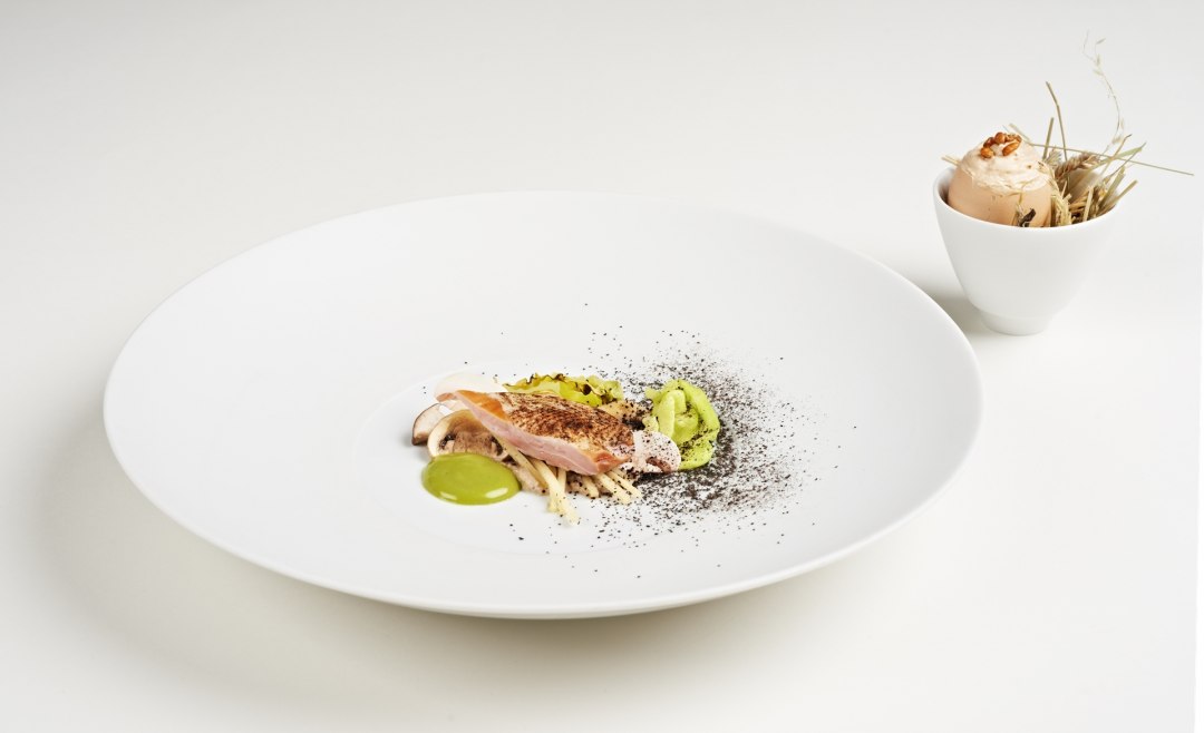 Verschiedenes von der Wachtel mit Kopfsalat, Lauchasche und Kernöl, © Ben Fuchs Verschiedenes von der Wachtel mit Kopfsalat, Lauchasche und Kernöl, © Ben Fuchs