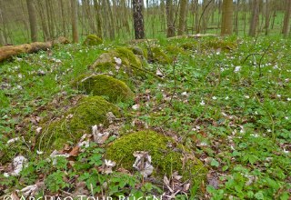 Verscholen in het loofbos liggen meer dan 400 grafheuvels uit de Slavische periode. // © Archäo Tour Rügen Verscholen in het loofbos liggen meer dan 400 grafheuvels uit de Slavische periode. // © Archäo Tour Rügen