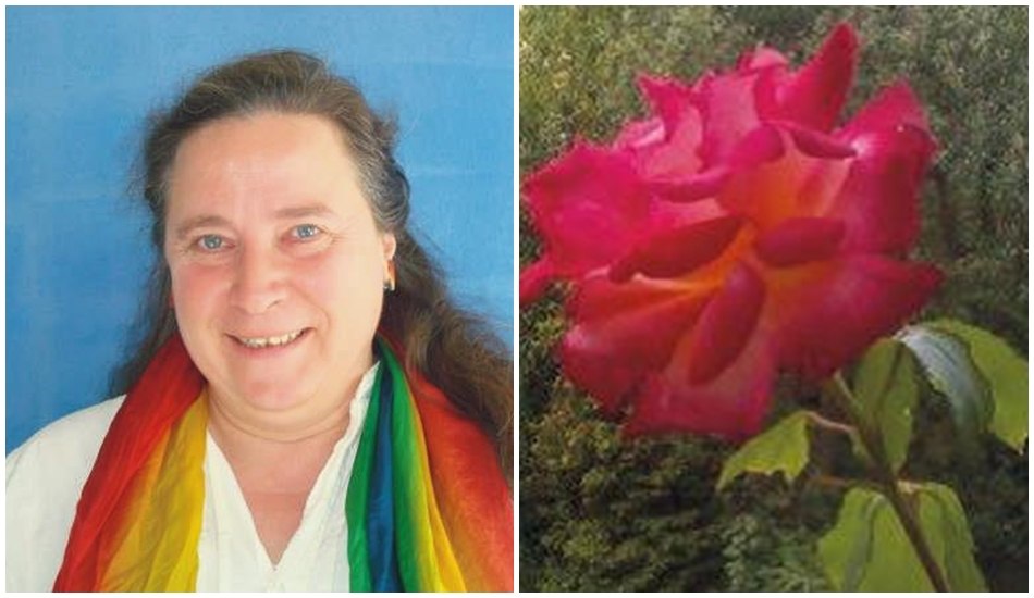 Marita Zimmer - Training Coaching Consultancy, © Marita Zimmer - Training Coaching Beratung Marita Zimmer - Training Coaching Consultancy, © Marita Zimmer - Training Coaching Beratung