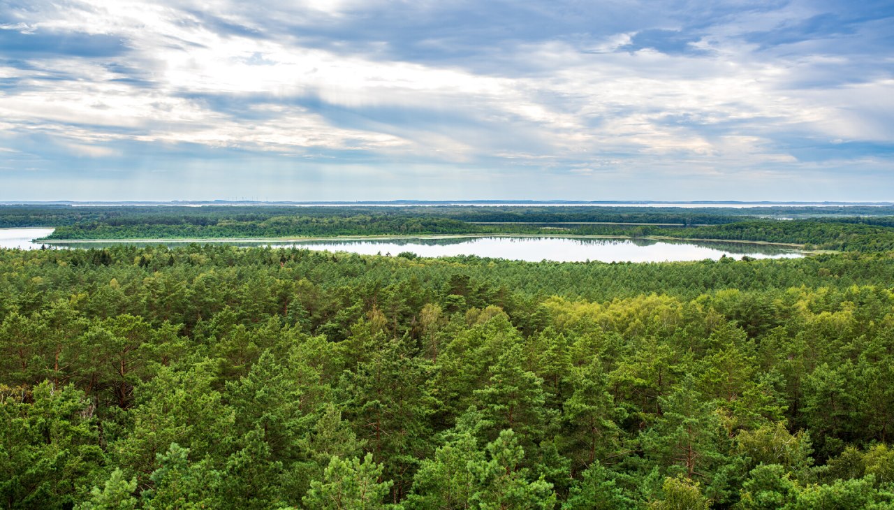 Naturbeobachtung in der Mecklenburgischen Seenplatte, © TMV/Tiemann Naturbeobachtung in der Mecklenburgischen Seenplatte, © TMV/Tiemann