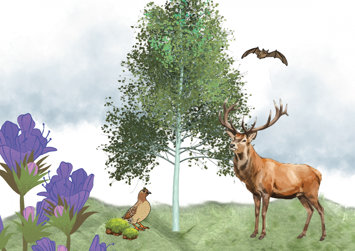 Grafik mit Canva erstellt, &copy; M&uuml;ritzeum