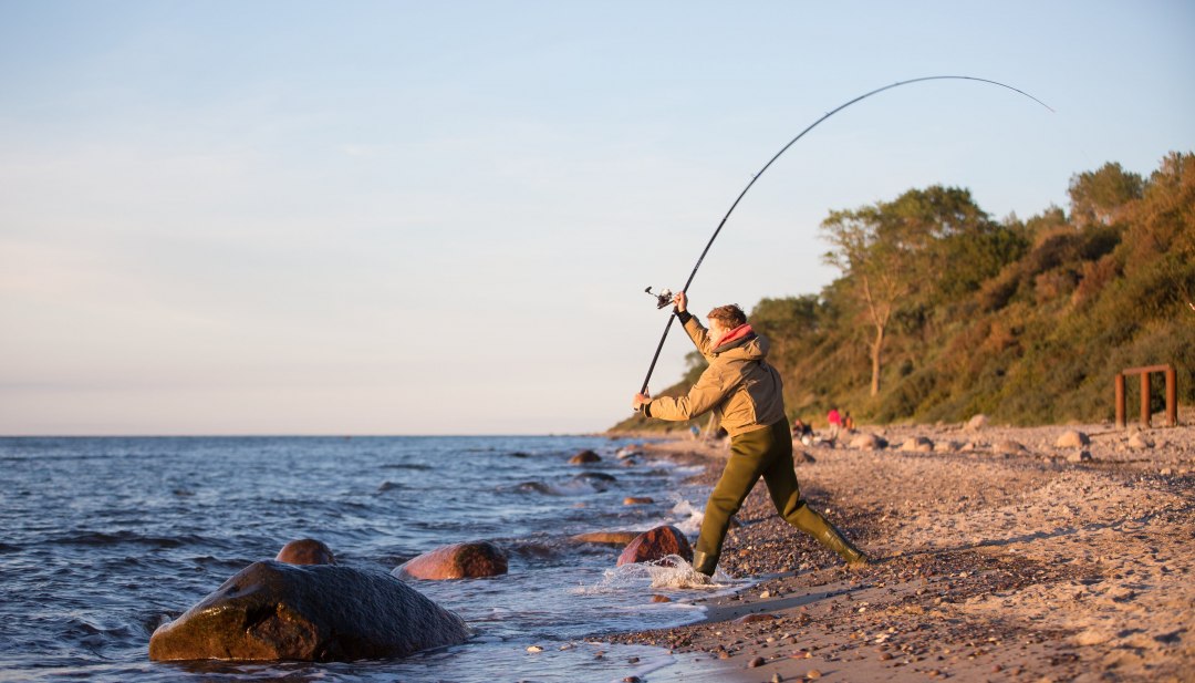 Die Küste zwischen Boltenhagen und Graal-Müritz ist ein echter Geheimtipp für Meeresangler // © MV-T/Läufer Die Küste zwischen Boltenhagen und Graal-Müritz ist ein echter Geheimtipp für Meeresangler // © MV-T/Läufer