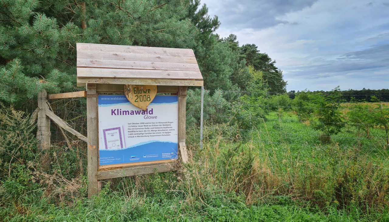 Klimawald Glowe Infotafel, © Landesforst MV Klimawald Glowe Infotafel, © Landesforst MV