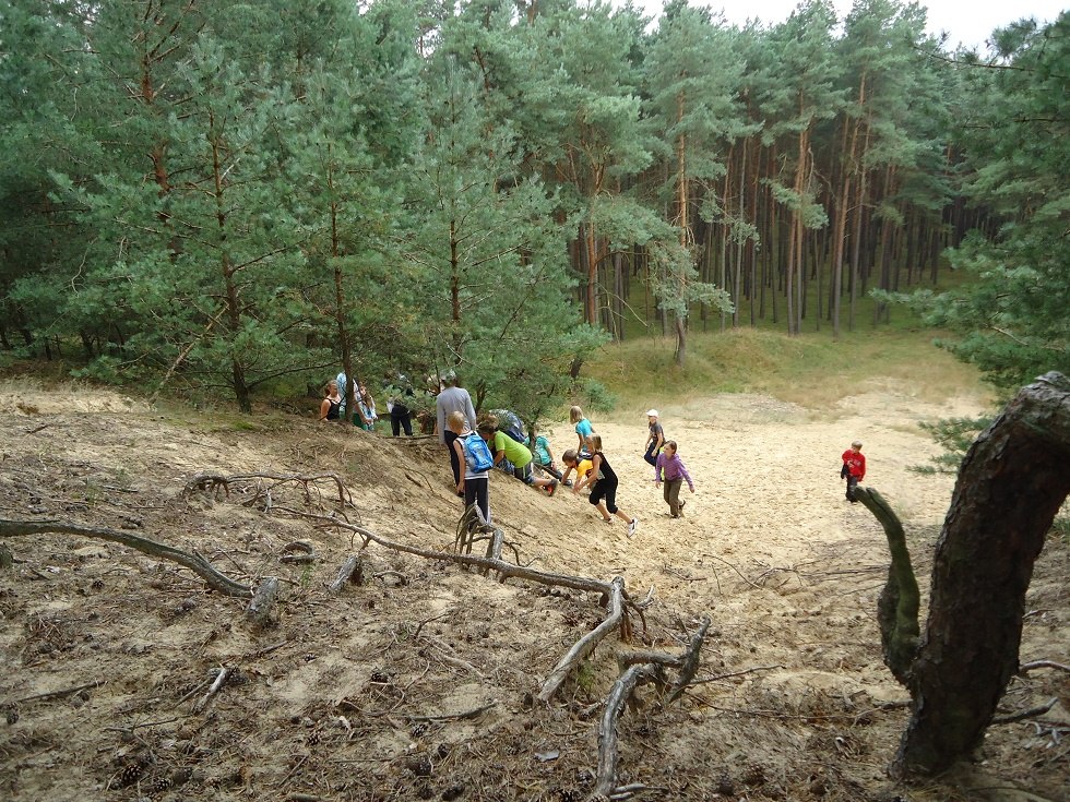 Schatzsuche auf dem Kellerberg. // © Zebef e.V. Schatzsuche auf dem Kellerberg. // © Zebef e.V.