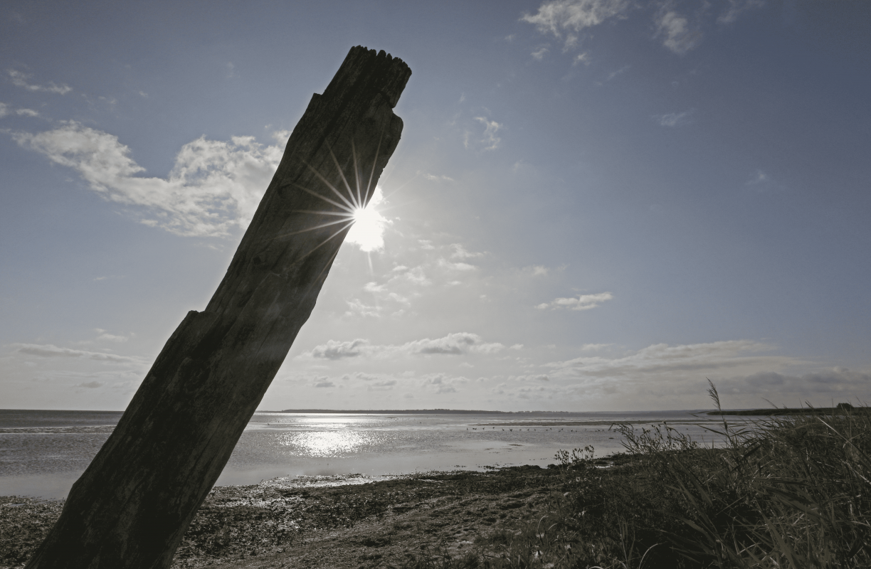 © MV-T/Gohlke © MV-T/Gohlke