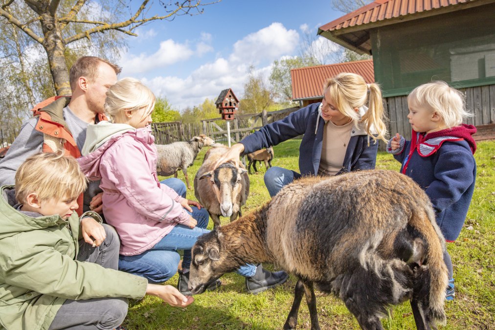 BEECH Resort Fleesensee, © Fleesensee Feriendorf GmbH