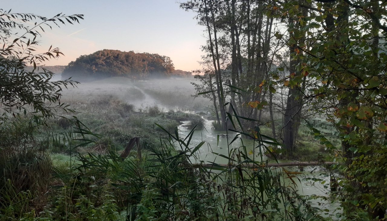 Tour-Impression der Schaalsee-Safari, &copy; Andreas Ermisch
