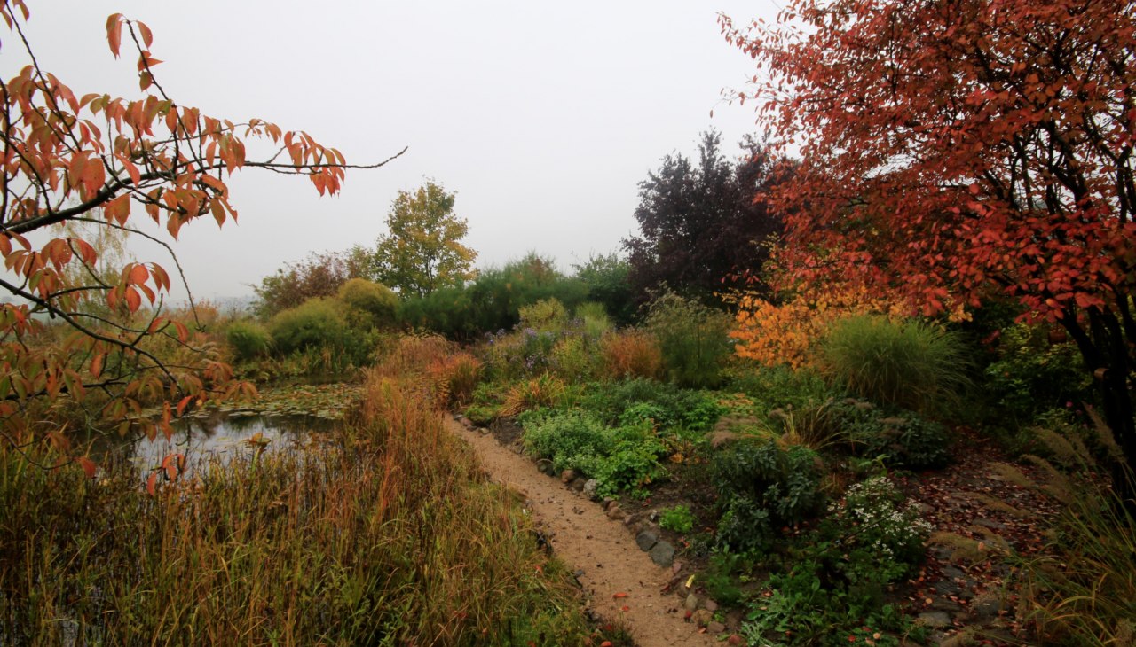 Herbst am Sündenborn, © Claus Gering Herbst am Sündenborn, © Claus Gering
