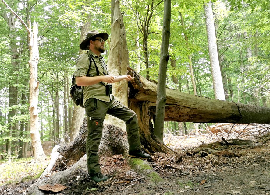 Rangerf&uuml;hrung mit einem Ranger im Naturschutzgebiet Granitz // &copy; Biosph&auml;renreservat S&uuml;dost-R&uuml;gen