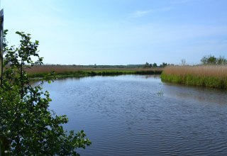 Blick auf die Recknitz // &copy; Lutz Werner