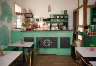 &copy; Stephanie Sauer