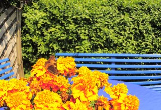 Sitzecke im Garten vor dem Ferienzimmer // © Kleines Fischerhaus Sitzecke im Garten vor dem Ferienzimmer // © Kleines Fischerhaus
