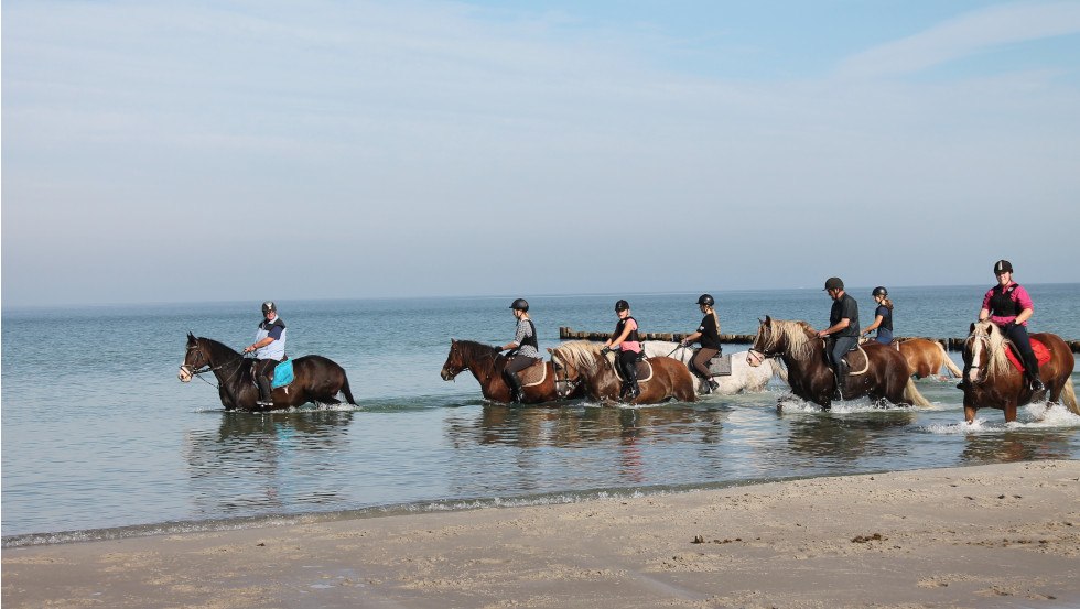 Ausritt an Bodden und Ostseeküste // © Reit- und Feriencamp Illner Ausritt an Bodden und Ostseeküste // © Reit- und Feriencamp Illner