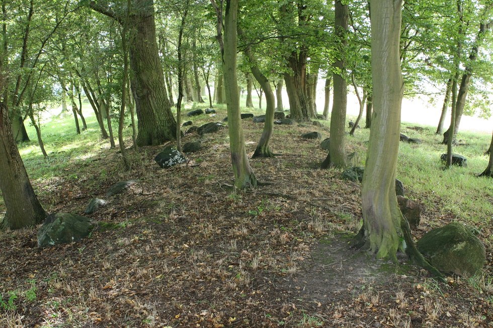 Reste der Großsteingräber, © Sabrina Wittkopf-Schade Reste der Großsteingräber, © Sabrina Wittkopf-Schade