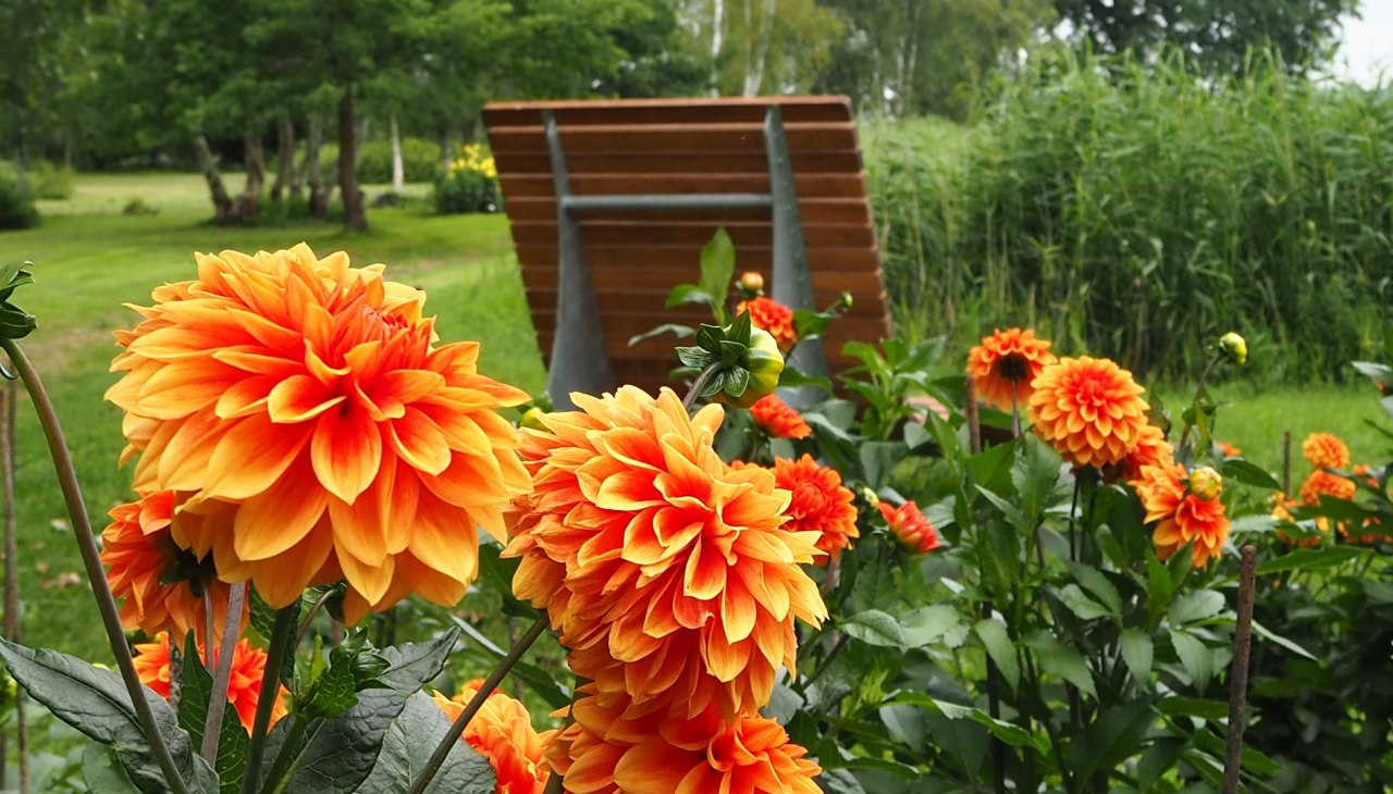 Hier können die Schöhnheit des Kurparks genießen, © TVVR Hier können die Schöhnheit des Kurparks genießen, © TVVR