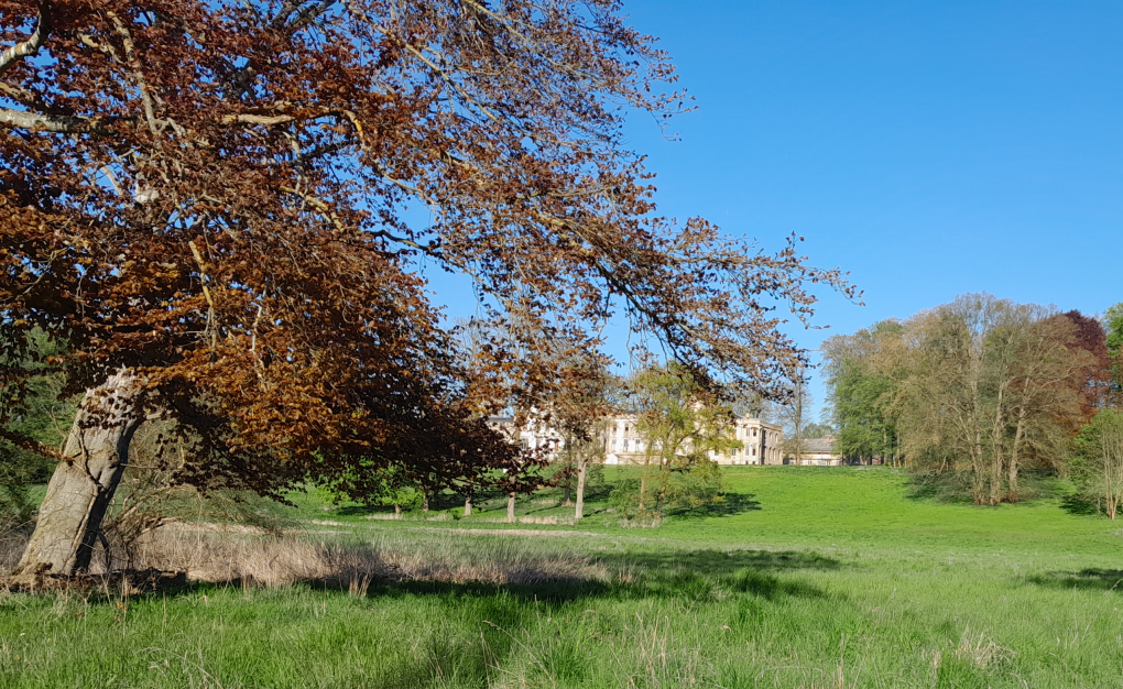 Lenn&eacute;park am Schloss Varchentin // &copy; privat