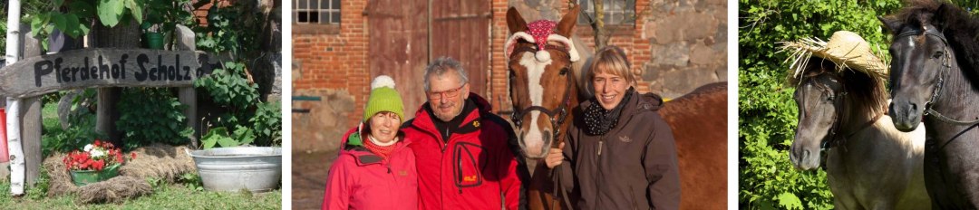 Paardenboerderij Scholz, © Pferdehof Scholz Paardenboerderij Scholz, © Pferdehof Scholz