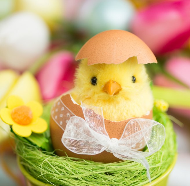 Osterbrunch 2026 // &copy; www.fotolia.com