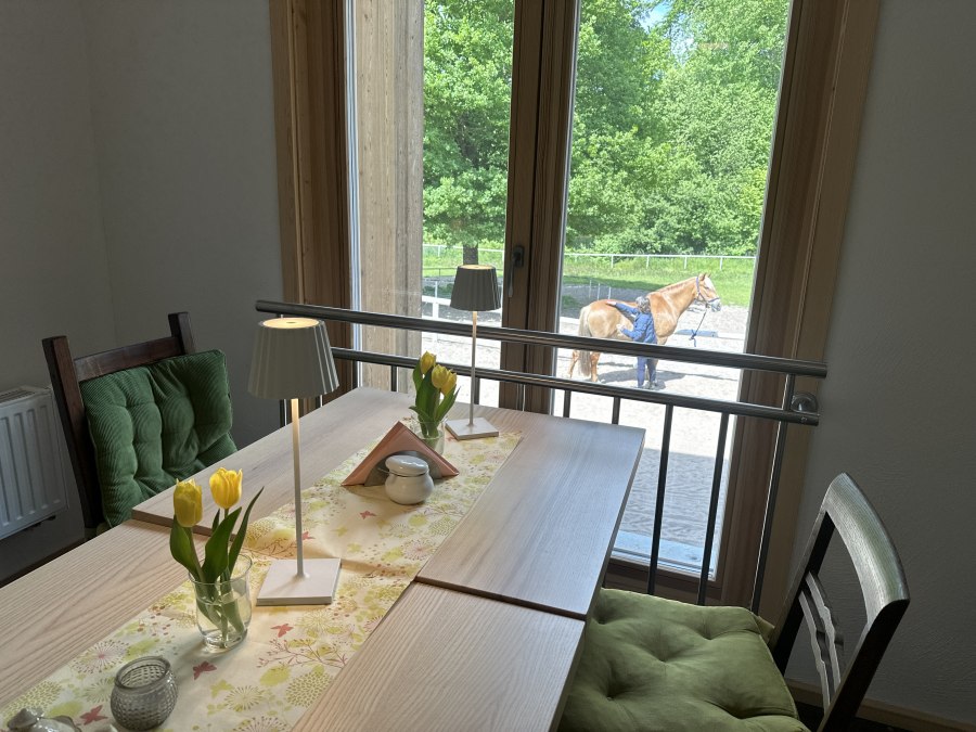 Café Hufschlag Blick aus dem Fenster, © Landurlaub M-V e.V./ Anika Weisbrich Café Hufschlag Blick aus dem Fenster, © Landurlaub M-V e.V./ Anika Weisbrich