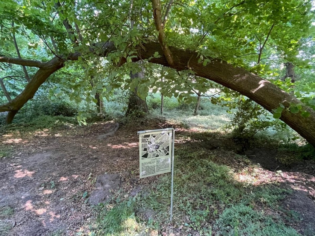 © TZ Südliche Boddenküste © TZ Südliche Boddenküste