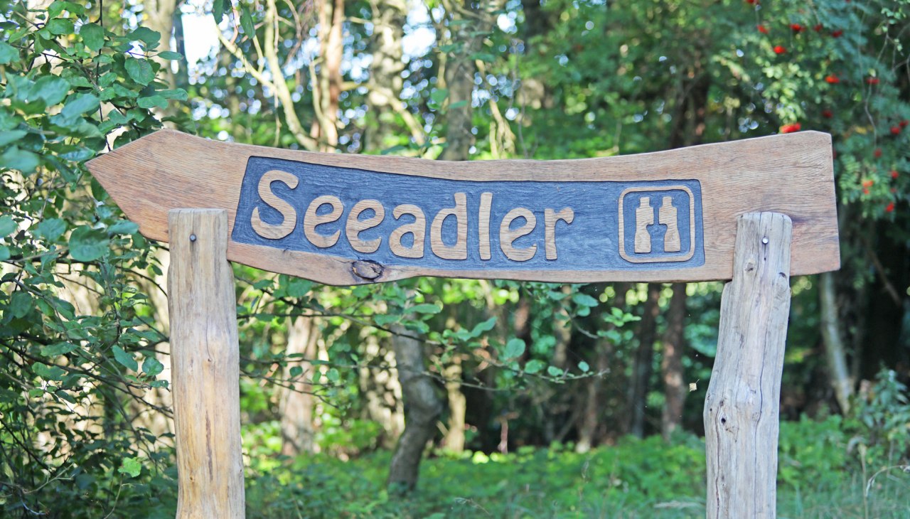 Aussichtskanzel Seeadler_1, © TMV/Gohlke