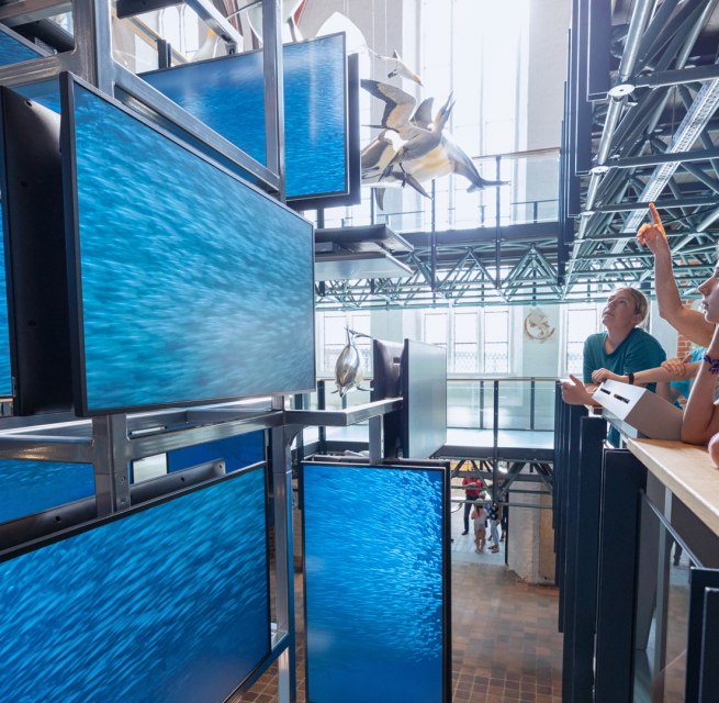 Ein medial inszenierter Sardinenschwarm ist Teil der Eingangsinstallation im MEERESMUSEUM, die von drei Stockwerken aus erlebbar ist // &copy; Anke Neumeister/Deutsches Meeresmuseum