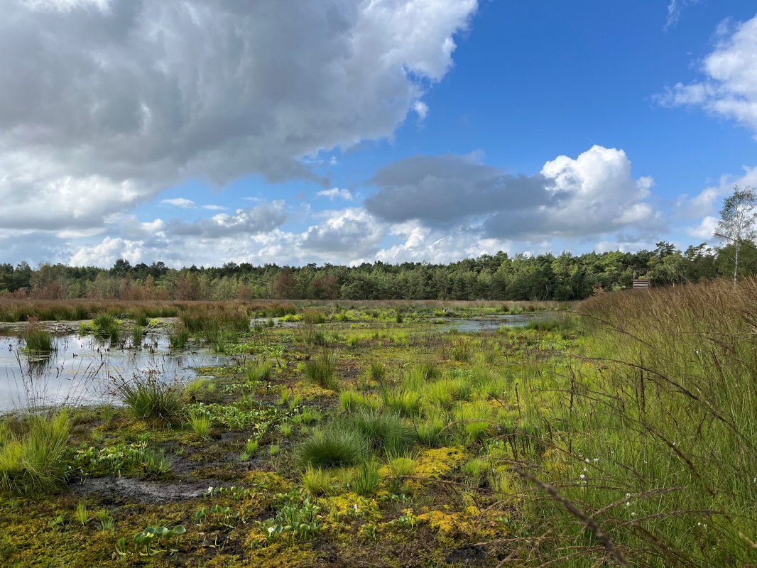 Grambower Moor // &copy; stun