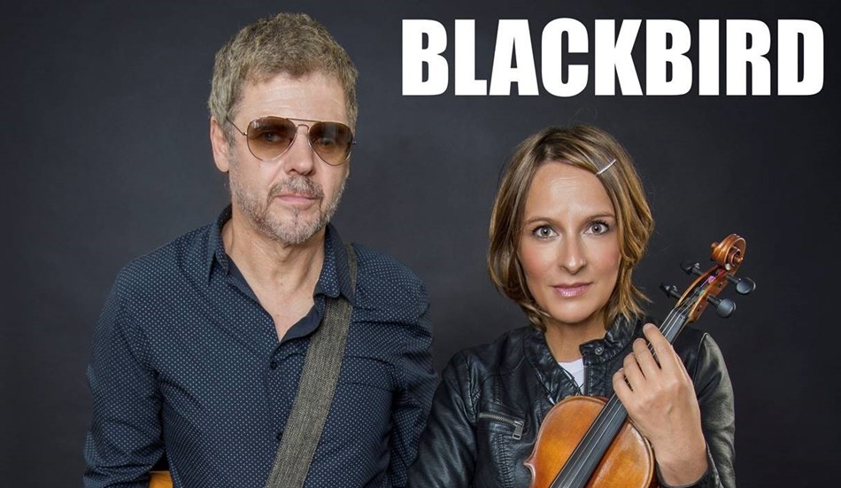 Blackbird, © Bernd Lammel Blackbird, © Bernd Lammel