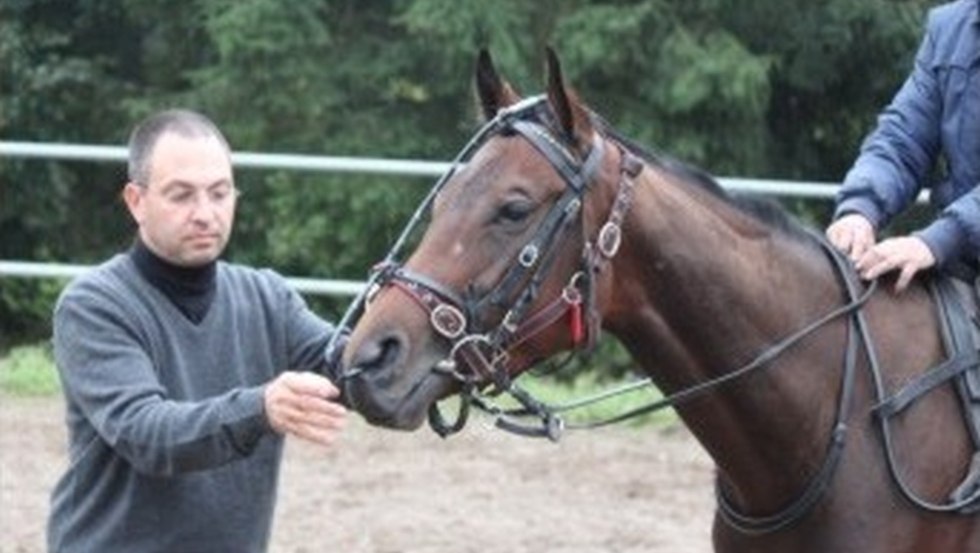 Tierklinik Alt-Sammit - Overground und Belastungsendoskopie, © Tierklinik Alt-Sammit Tierklinik Alt-Sammit - Overground und Belastungsendoskopie, © Tierklinik Alt-Sammit