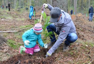 Ein Mann und ein junges Mädchen pflanzen gemeinsam einen Baum bei der Aktion „Bürger für Bäume“ in Rostock. // © Zoo Rostock/ Seemann Ein Mann und ein junges Mädchen pflanzen gemeinsam einen Baum bei der Aktion „Bürger für Bäume“ in Rostock. // © Zoo Rostock/ Seemann