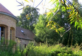 © Foto: Striller © Foto: Striller