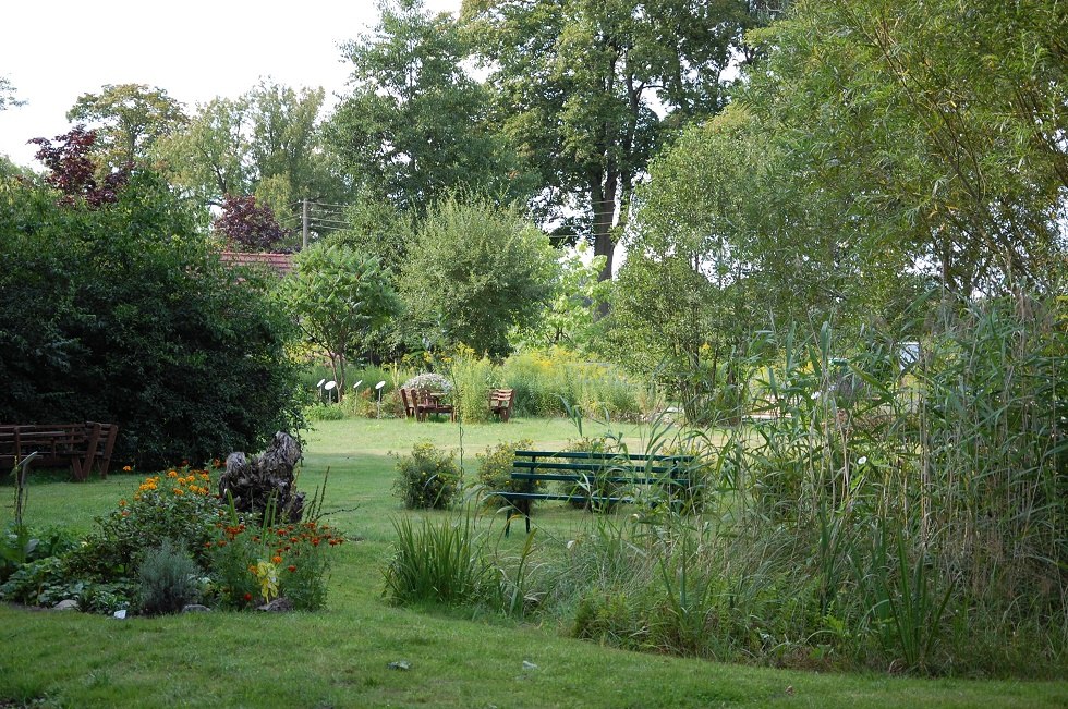 Der Schaugarten zeigt etwa 150 Bienenweidepflanzen. // © Gabriele Skorupski Der Schaugarten zeigt etwa 150 Bienenweidepflanzen. // © Gabriele Skorupski