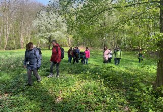 Kräuterwanderung // © Petra Dittmar Kräuterwanderung // © Petra Dittmar