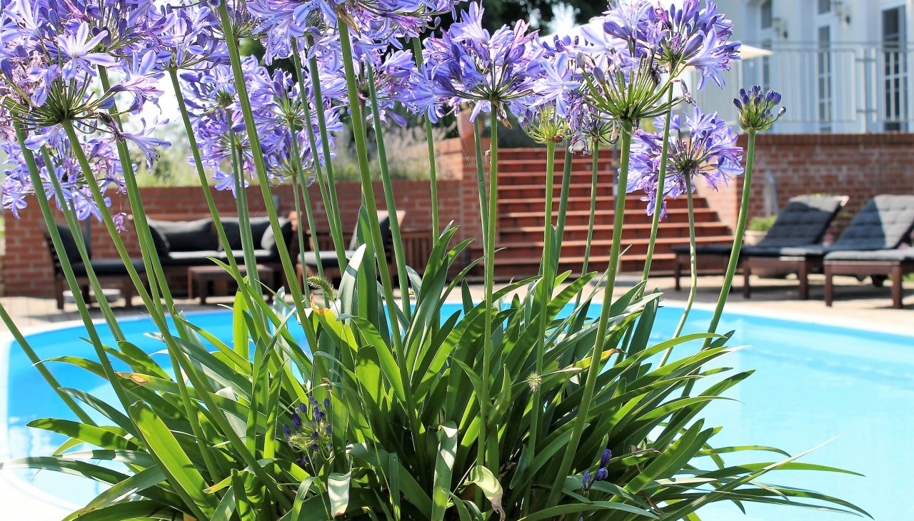 Außenpool, © Sabine Schwanzer Außenpool, © Sabine Schwanzer